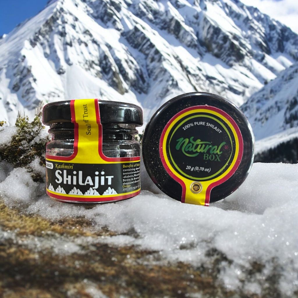 Shilajit Natural Box 20g